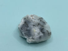 Load image into Gallery viewer, Dendrite opal
