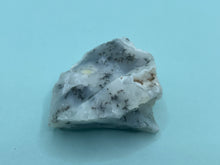 Load image into Gallery viewer, Dendrite opal

