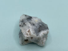 Load image into Gallery viewer, Dendrite opal
