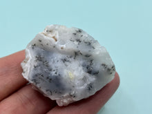 Load image into Gallery viewer, Dendrite opal
