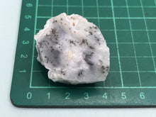 Load image into Gallery viewer, Dendrite opal
