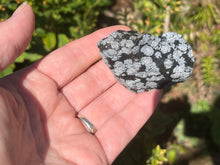 Load image into Gallery viewer, Snowflake obsidian

