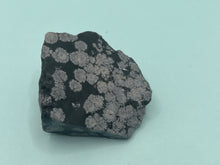 Load image into Gallery viewer, Snowflake obsidian
