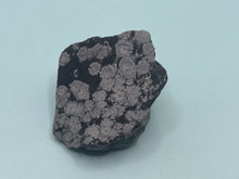 Load image into Gallery viewer, Snowflake obsidian
