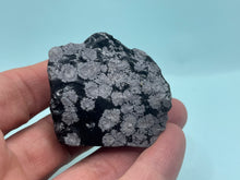 Load image into Gallery viewer, Snowflake obsidian

