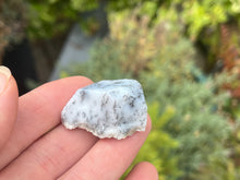 Load image into Gallery viewer, Dendrite opal
