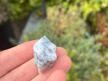 Load image into Gallery viewer, Dendrite opal
