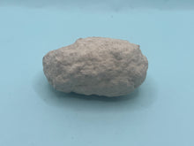 Load image into Gallery viewer, Weevil pixie clogs
