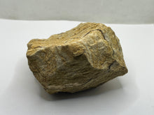 Load image into Gallery viewer, Picture Jasper
