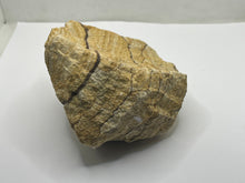 Load image into Gallery viewer, Picture Jasper
