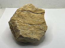 Load image into Gallery viewer, Picture Jasper
