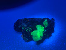 Load image into Gallery viewer, Phlogopite Mica,black Tourmaline,halite And Orthoclase

