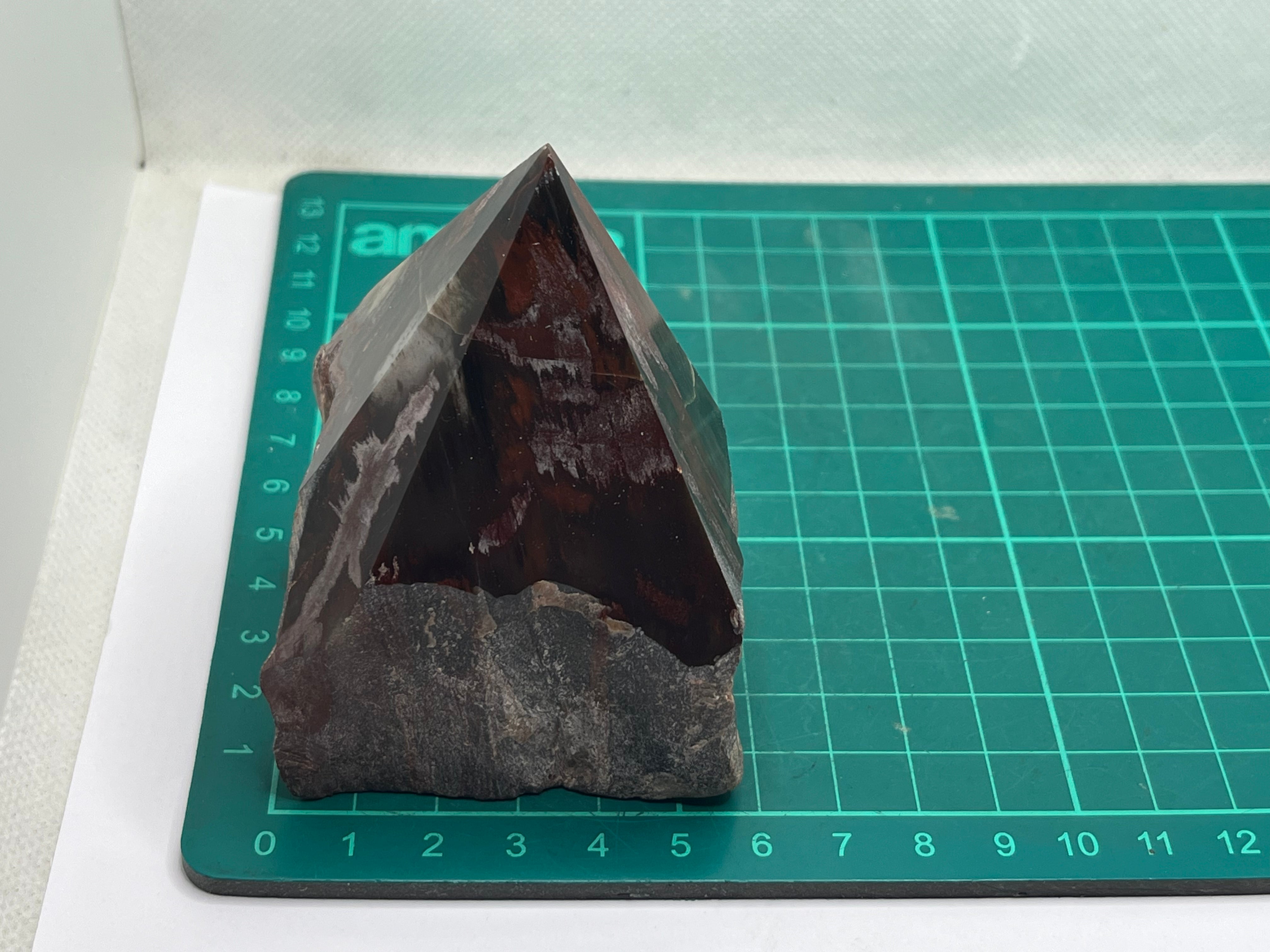 Petrified wood point – Crystal and fossils