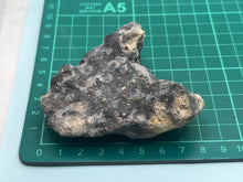 Load image into Gallery viewer, Black Opal
