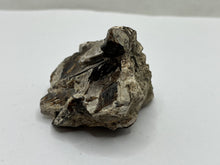 Load image into Gallery viewer, Astrophyllite

