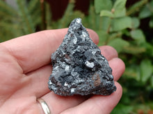 Load image into Gallery viewer, Ramsdellite
