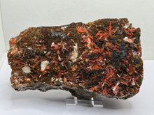 Load image into Gallery viewer, Crocoite
