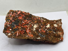 Load image into Gallery viewer, Crocoite
