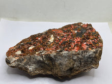 Load image into Gallery viewer, Crocoite
