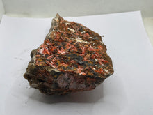 Load image into Gallery viewer, Crocoite
