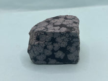 Load image into Gallery viewer, Snowflake obsidian
