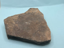Load image into Gallery viewer, Trilobite trackways (cruziana)
