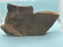Load image into Gallery viewer, Trilobite tracking (cruziana)
