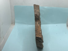 Load image into Gallery viewer, Trilobite tracking (cruziana)
