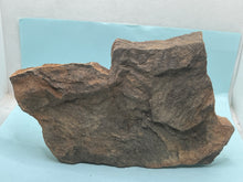 Load image into Gallery viewer, Trilobite tracking (cruziana)
