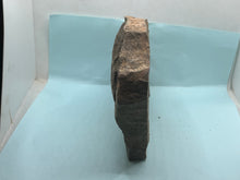 Load image into Gallery viewer, Trilobite trackways (cruziana)

