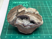 Load image into Gallery viewer, Thunder egg
