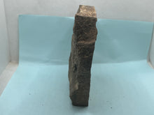 Load image into Gallery viewer, Trilobite trackways (cruziana)
