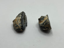 Load image into Gallery viewer, Agate pair
