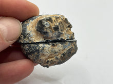 Load image into Gallery viewer, Agate pair
