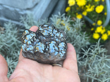 Load image into Gallery viewer, Botryoidal hematite
