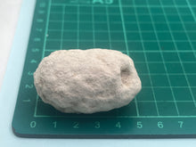 Load image into Gallery viewer, Weevil pixie clogs
