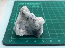 Load image into Gallery viewer, Dendrite opal

