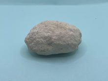 Load image into Gallery viewer, Weevil pixie clogs
