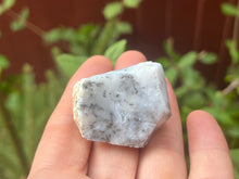 Load image into Gallery viewer, Dendrite opal
