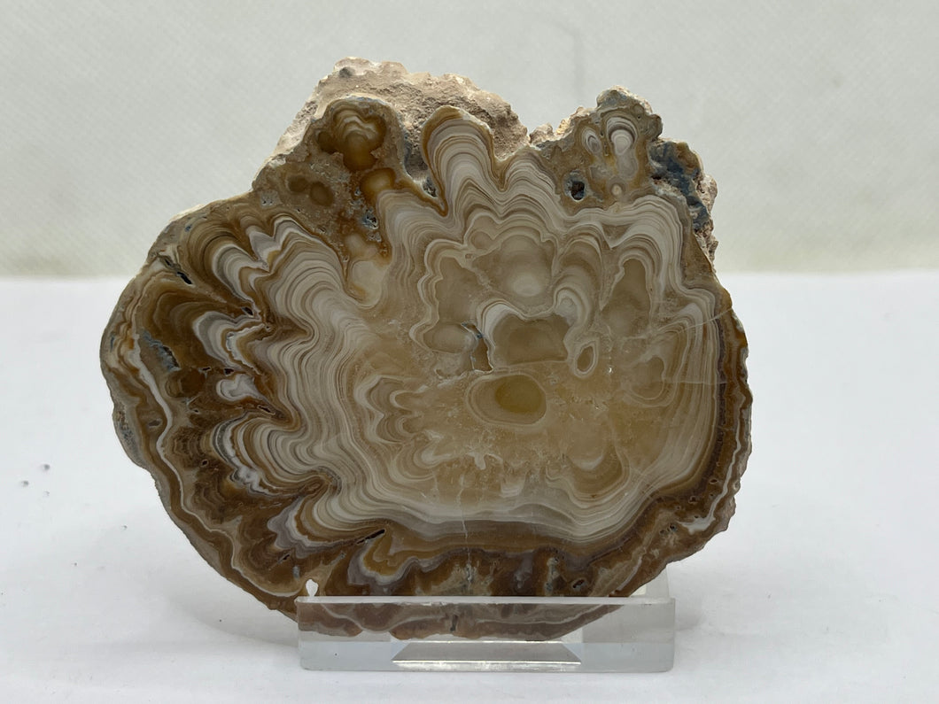 Aragonite travertine