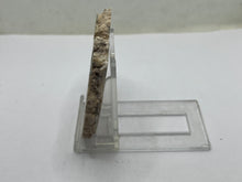 Load image into Gallery viewer, Aragonite travertine
