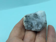 Load image into Gallery viewer, Dendrite opal
