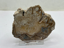 Load image into Gallery viewer, Aragonite travertine
