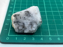 Load image into Gallery viewer, Dendrite opal
