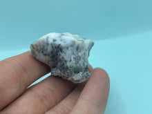Load image into Gallery viewer, Dendrite opal
