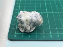 Load image into Gallery viewer, Dendrite opal
