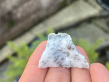 Load image into Gallery viewer, Dendrite opal
