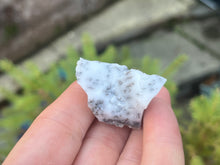 Load image into Gallery viewer, Dendrite opal
