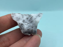 Load image into Gallery viewer, Dendrite opal
