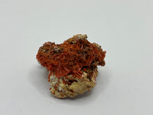 Load image into Gallery viewer, Crocoite
